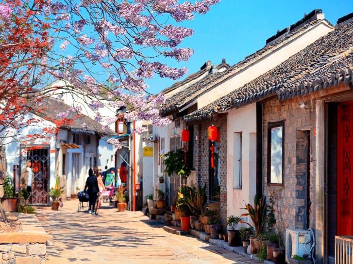 Yixing Purple Clay Fig3